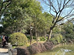 -秋霞圃