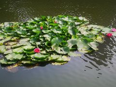 -前关湿地公园
