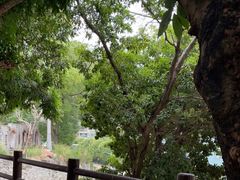 -横琴蚝苑·地道农家菜