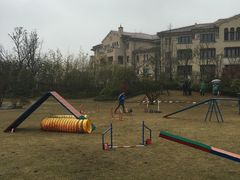 -上海崇明金茂凯悦酒店