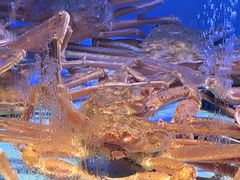-阿伟海鲜楼·福建菜(延寿店)