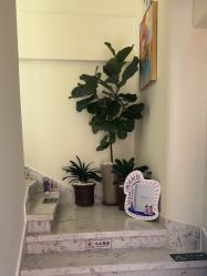 -海涛医疗美容·面部抗衰·注射美鼻