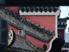 -长春观