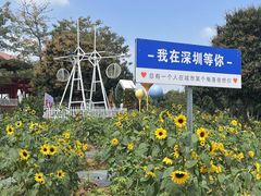 -光明农场大观园