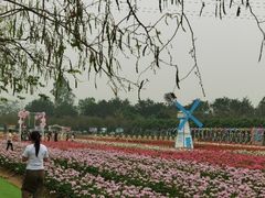 -盈香心动乐园