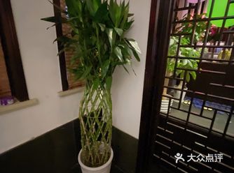 温馨的服务，清幽的环境，是我理想中的足浴店