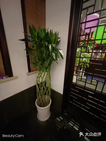 温馨的服务，清幽的环境，是我理想中的足浴店