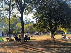 -艾溪湖湿地公园