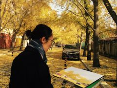 -三里屯东五街银杏大道