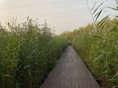 -永定河休闲森林公园