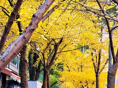 -丽晶大班SPA(大沽店)
