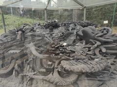 -珠海圆明新园
