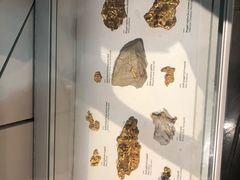 -墨尔本博物馆(Melbourne Museum)