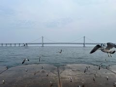 -星海湾跨海大桥