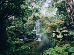 -Chom Cafe and Restaurant