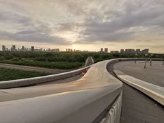 -哈尔滨大剧院