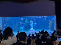 -台州海洋世界