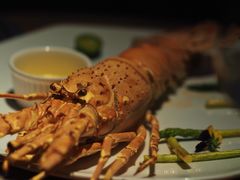 龙虾尾佐柠檬黄油汁-Arpanda阿潘答餐厅(郎园店)