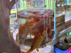 -天空之城游乐体验世界(万宝广场店)