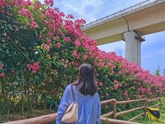 -白鹭湾湿地公园