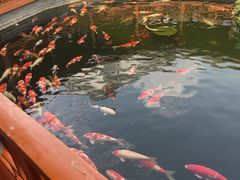 -香麒园·过桥米线·南湖雅宴