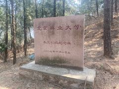 -北京鹫峰国家森林公园