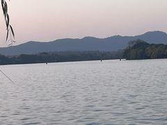 -浙江西子宾馆·瑶园咖啡厅