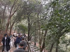-灵顺寺