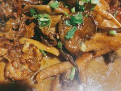-鸽子窝(宋庄店)