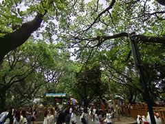 -晓港公园