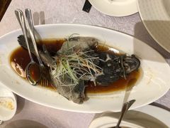 清蒸石斑鱼-湖影中餐厅·南京金茂威斯汀大酒店