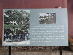 -闽粤南澳总镇府