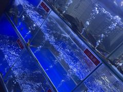 -石锅苗苗鱼(武汉首店)