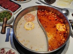 -濠七糟粕醋•海南酸汤火锅(中关村店)