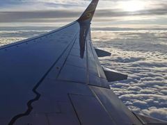 -海南海航航空信息系统公司