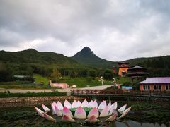-帽儿山风景区