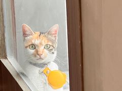 -Again Coffee Roaster(香蜜湖店)