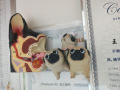 -美联众合动物医院·24h转诊中心