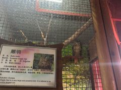 -上海大自然野生昆虫馆(东方明珠·爬宠昆虫探索中心)