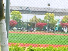 -九里河湿地公园