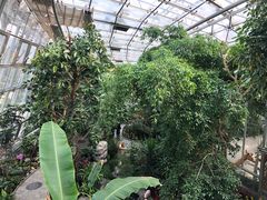 -北京植物园-展览温室