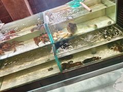-樱之盛宴·蟹料理海鲜自助(前进大街店)