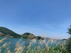 -长沙黑麋峰国家森林公园