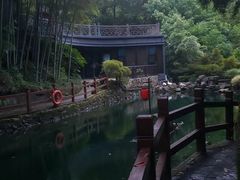 -十八棵（老龙井）御茶园(老龙井店)