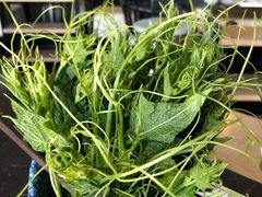 -新草堂锅物料理(泉城路店)