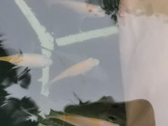 -海兰云天度假区温泉