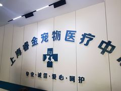 -睿金宠物医院·CT·肿瘤·骨外科