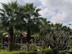 -广州从化都喜泰丽度假温泉酒店