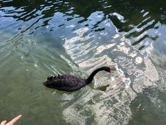 -徐家汇源景区-衡山公园