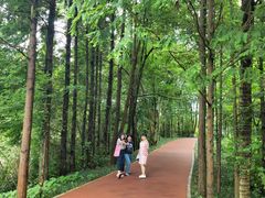 -桤木河湿地公园